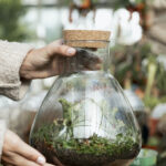 Las w słoiku - zrób to sam