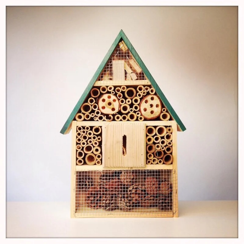 Dom z owadami na stole przy ścianie